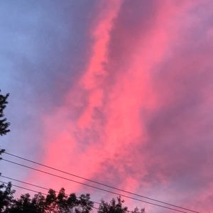 Meet your Posher, Elsa